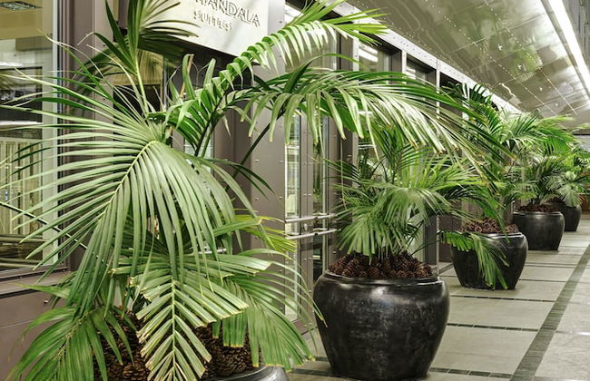 The Mandala Suites Berlin - Foto 46