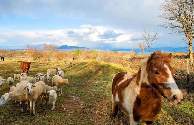 Detached Villa With Private Pool Located on Hill Overlooking Kvarner - Foto 25