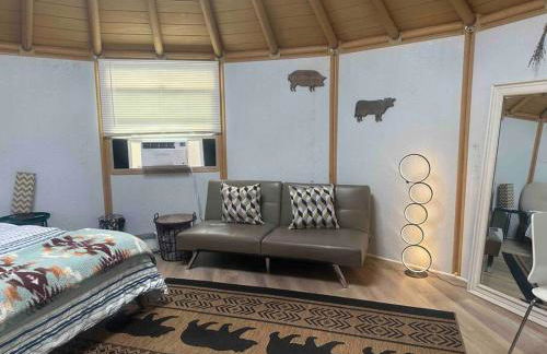 Glamping-Sky Dome Yurt-Tiny House-2 modern composting toilet - Foto 18