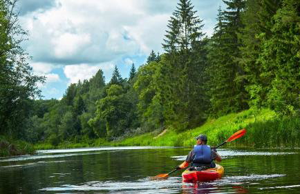 Fife Lake 2BR Getaway with Hot Tub - Foto 21