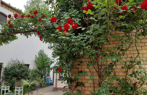 Fewo Rosenblüte am Stadtpark - Foto 1