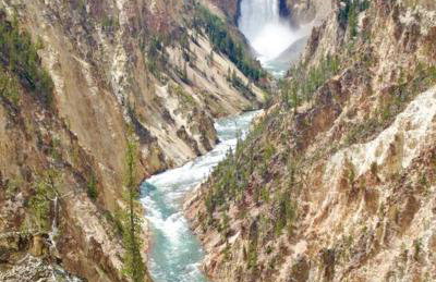 Brand NEW Cabin in the pines - Foto 52