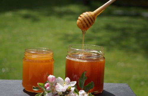 Waalhof Ferienwohnung Mohnblume - Foto 6