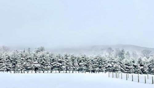 Longpond House - Foto 4