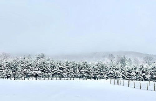 Longpond Cellars and Farms 40Acre Estate - Foto 50