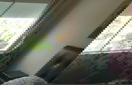 Appartement au complexe marina golf - Foto 4