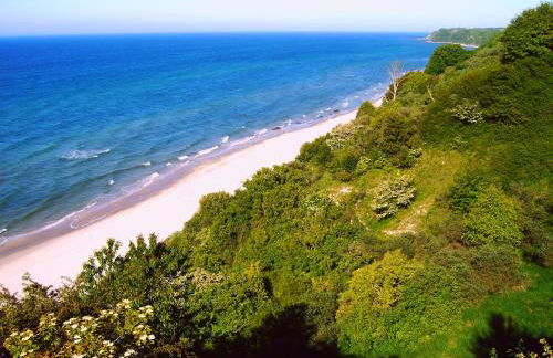 Reetdachhäuser am Bakenberg - Foto 5