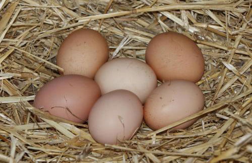 La Casa de Consuelo 3 - Foto 34