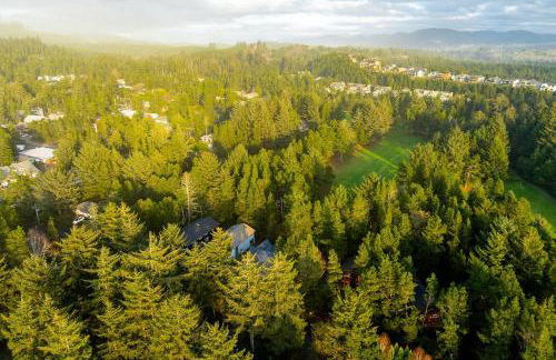 Sea Dream MCA#398 - Foto 41