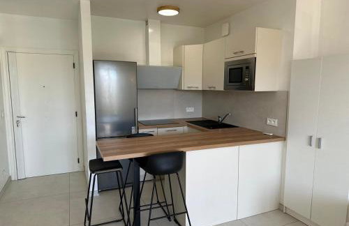 Super Apartment, Parking, Terrace, Lift, WIFI, Palm Beach, Cannes - Photo 6