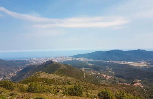 Vitis Verde - Foto 18