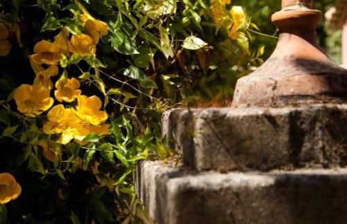 Spiti Prifti Apartments - Photo 132