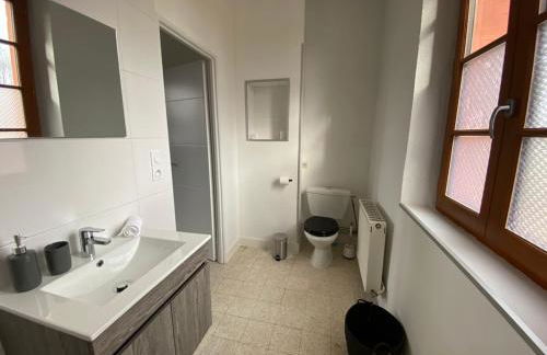 Les coccinelles - Foto 6