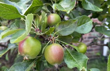 Troon Centre Seaside Retreat -Apt close to Beach Golf and Surf - Foto 38