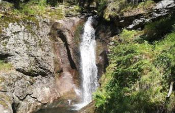 Ferienland Sonnenwald Fewo 46 und Studio 50 in Schöfweg Bayerischer Wald - Foto 51
