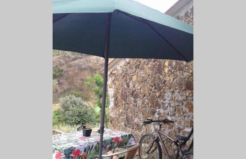 Palheirinho - Foto 41