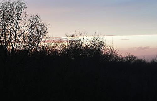 La Quercia e il Castagno Country & Relax - Foto 42