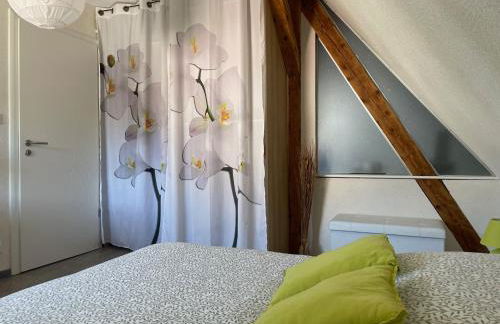 Chez L en Alsace Maison indépendante 8 pers Jardin & Cour privative - Photo 19