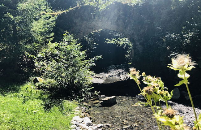 Le Moulin des Olirics - Foto 52