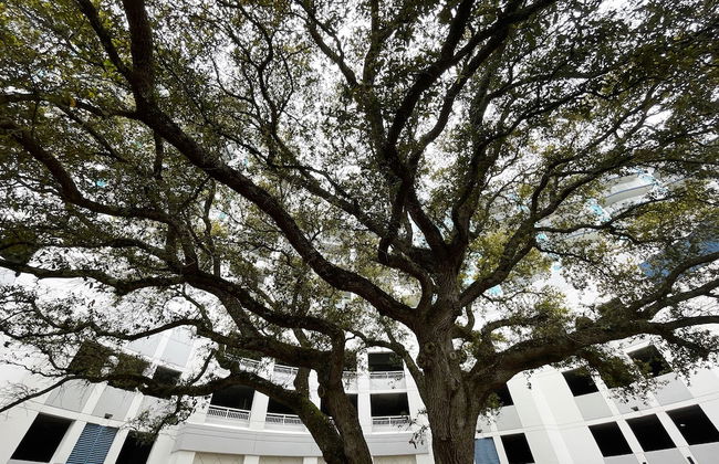 Horizon at 77th - Foto 54