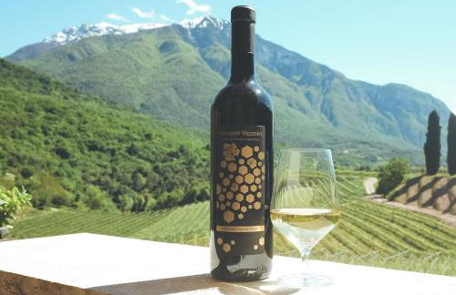 Agritur Casteller - Photo 26