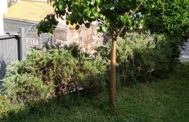 Eira do vento - Foto 43