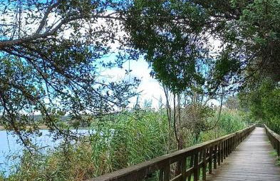 Villas Terrace Apartment - Foto 38