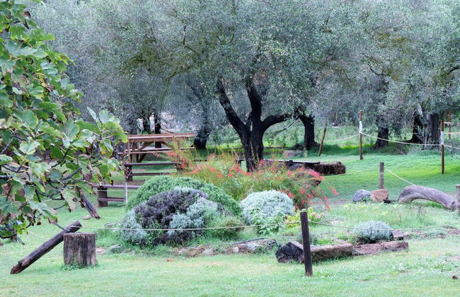 Su Leunaxiu - Foto 76