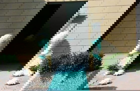 B&B Villa Bisceglia - Foto 16