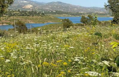 La Rústica en Viñuela, piscina privada - Foto 34