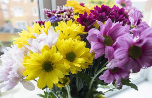 HC Property - Foster Drive - Foto 26