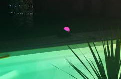 Mon petit coin de paradis - Foto 13