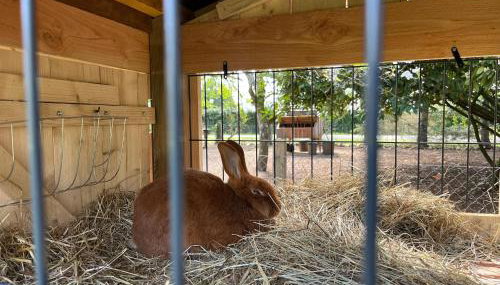 Gîte Dordogne Périgord - Photo 3