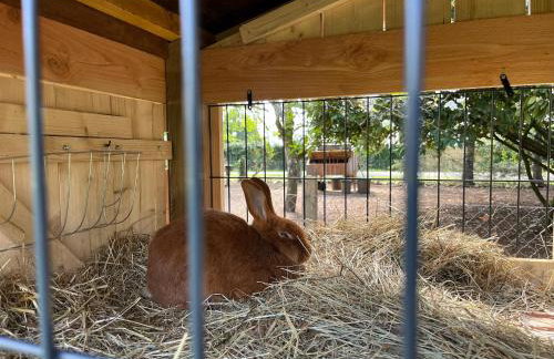 Gîte Dordogne Périgord - Foto 3