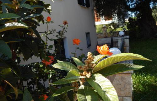 Villa Dimitra - Foto 29