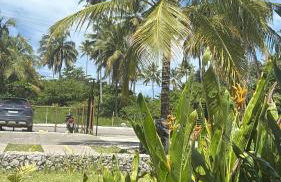 Beira Mar Japaratinga 2 Quartos Naluri C006 - Foto 26