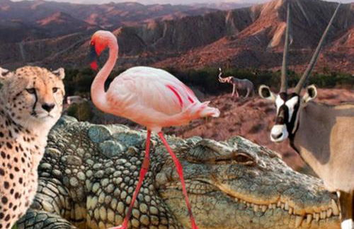 Macenas Beach Resort Mojacar -Almeria - Foto 37