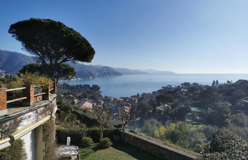 ROCCA DI SAN MICHELE - Foto 1