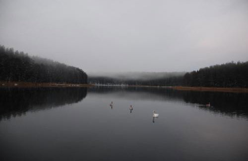 Natura Apartamenty - Foto 59