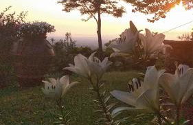 Poggio Leporaia - Foto 16