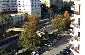 Rocha Apartment Plus - Foto 29