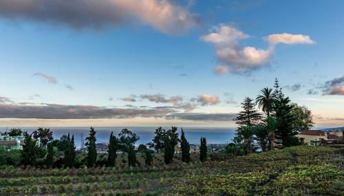 CASA RURAL EL LAGAR TENERIFE - Foto 3