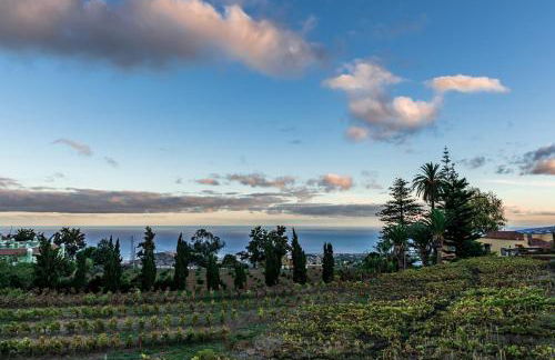 CASA RURAL EL LAGAR TENERIFE - Foto 3