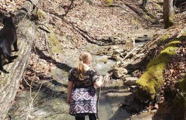 Red River Gorge Creekside, New*Spacious *2 baths! - Foto 17