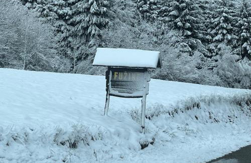 Forest Fairy - Foto 3