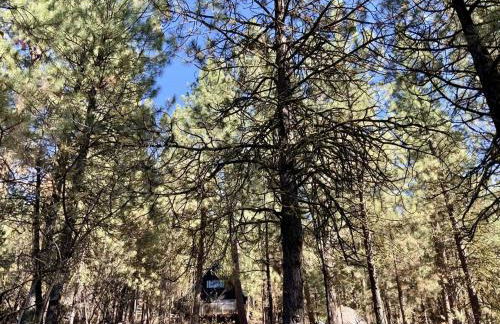 Mint Chip Cabin by Casago McCall - Donerightmanagement - Photo 21