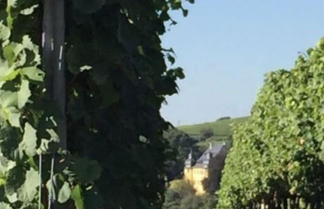 Holiday Apartment Relaxing at the Monastery - Foto 8