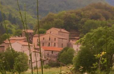 Grande maison cévenole authentique - Foto 30