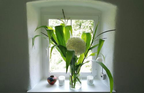 Ferienwohnungen Marienweiher - Foto 13