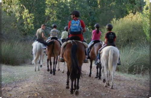 La Carpintería - Foto 20